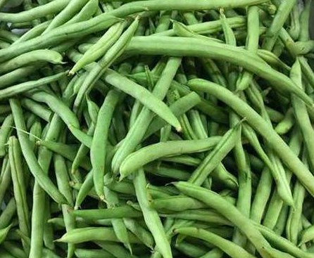Baguio beans